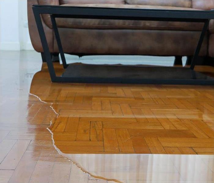 water covering wood flooring